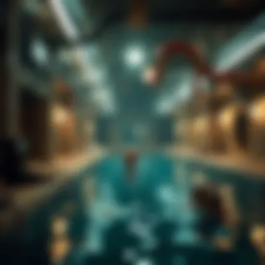 Magnificent Exploring the Tentacle Locker 2 Pool Update: A Deep Dive Magnificent Exploring the Tentacle Locker 2 Pool Update: A Deep Dive